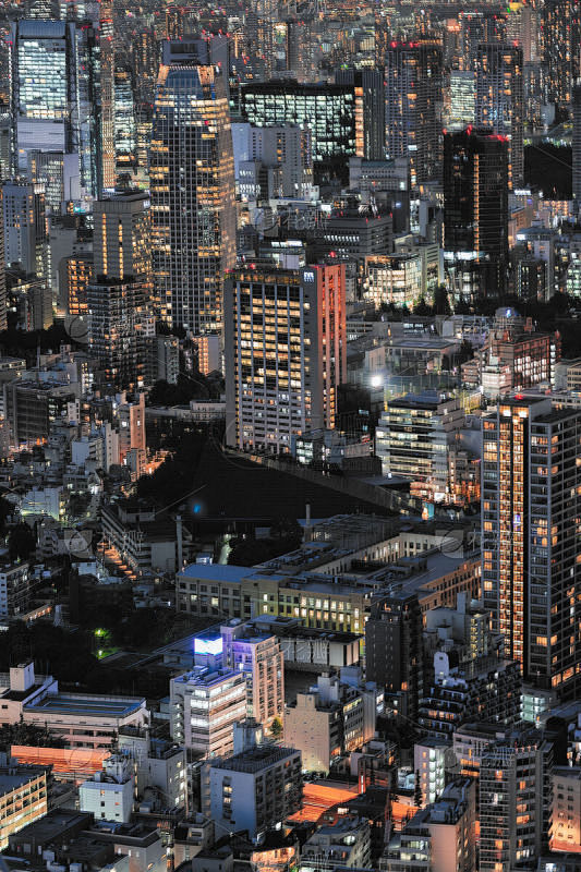 夜晚,日本,东京,户外,著名景点,城市生活,商务,建筑,图像,垂直画幅