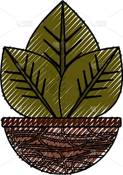 锅,植物群,分离着色,鸡尾酒,自然,华丽的,清新,房屋,图像,装饰