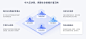华大：https://chain.genomics.cn