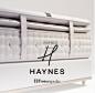 View Our Mattress & Bedding Range | Sealy Australia