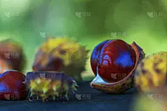 绿色包装的栗子和没有包装的栗子放在木凳上。这张照片在夕阳下有一个很好的散焦