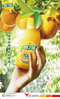園之味/Advertising : Advertising for a juice brand 