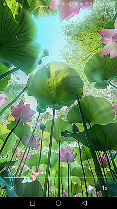 阿鸢呀采集到植被