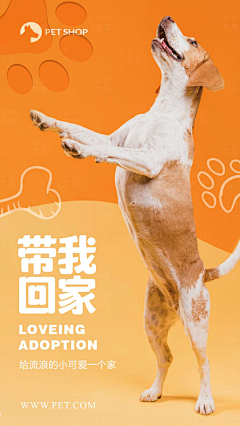 sloajo采集到宠物类海报