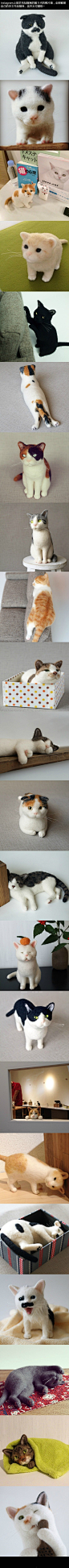 一位叫做猫ラボ的人做的羊毛毡猫，每一只造型都不同，超级可爱！！！！