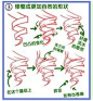 自制线稿教程【简单向，适合初学】_板绘吧_百度贴吧