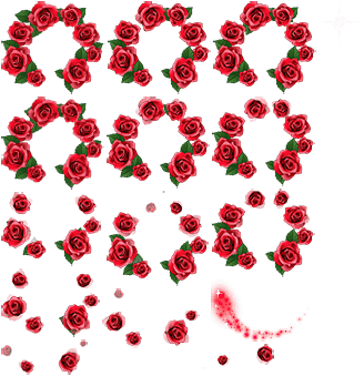 rose