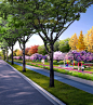 2020道路景观psd效果图城市绿道路公路绿化景观植物效果图ps素材-淘宝网