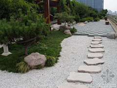 由木川采集到屋顶花园