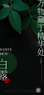 【仙图网】海报  二十四节气 白露 霜降 树叶|964019 