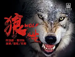 狼性团队
