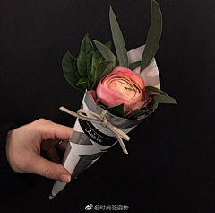 男友的储君采集到花束