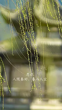 今日立春，立是开始，春是希望，愿人随春好，春与人宜，向阳而行，春风得意，幸福安康。#立春 #节气 #传统文化 - 抖音