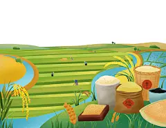 五谷杂粮礼盒包装设计-古田路9号-品牌创意/版权保护平台