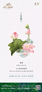 地产海报 | 节气立夏海报版式设计【排版】