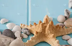 贝壳上的蓝色木材，海上度假的背景