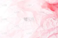 纸