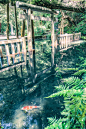 やまちゃん
@S_Y_yama
茨城の神秘的な池