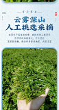 匠界茶叶张家界芽尖莓茶200g土家龙须藤茶永顺莓茶礼盒装-tmall.com天猫