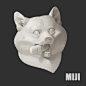 Material studies, miji lee : Shiba dog