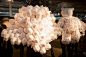 bea-szenfeld-paper-sculptures-bikini-berlin-9