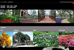 潮田桥采集到植物配置