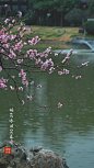 小场景 - 首页 - 微博