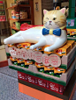 【主题展】朗豪坊HappyMEOWment&#;8236喵民游乐园夏季主题美陈@国际美陈俱乐部 - 文章