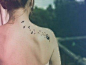 女生后背海鸥纹身图图案