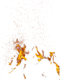 火焰png (4)
