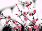 雪gif_360图片