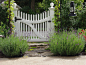 Kendall Lane Designs traditional-landscape