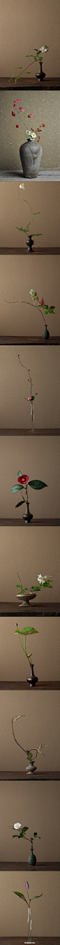 【分享•艺术】日本花艺大师川瀨敏郎是“自然野趣流”的代表人物，他喜欢用一些古老、质朴、布满历史痕迹的器皿当做花器，依据时节到山野里找最当令的花叶，放入美的意境。花器中，呈现出静、美的意境。他持续在新潮社网站上连载“一日一花”专栏。