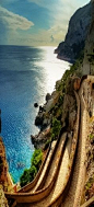 Capri, Italy 卡普里岛，意大利
