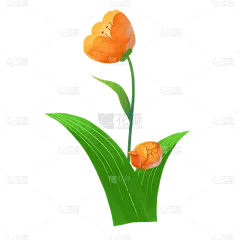 卡通感护士节郁金香元素贴纸