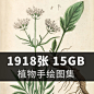 1918张15GB 复古花卉美术手绘植物图集博物馆收藏设计资料素材-淘宝网