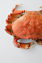 crab | the year in food: 