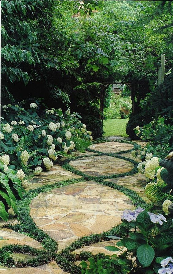 Lovely Garden path: