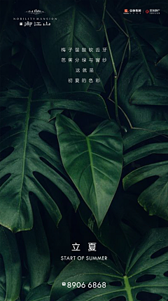 Etcetera777采集到地产·节气