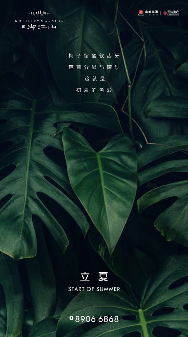 0504立夏微信7
