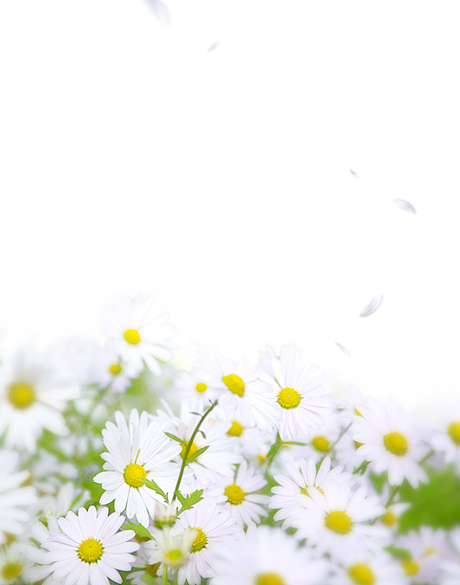 存一下。
