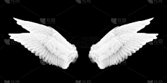 MY烨哥采集到素材