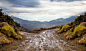 land rover : land rover