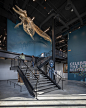 伯克自然历史文化博物馆，西雅图 / Olson Kundig Architects : 简洁美观，灵活开放