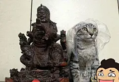 拜什么关公，拜我！