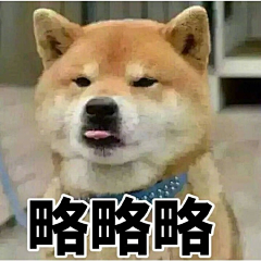 萝蒂丝◕ิิ◕ิิ采集到表情