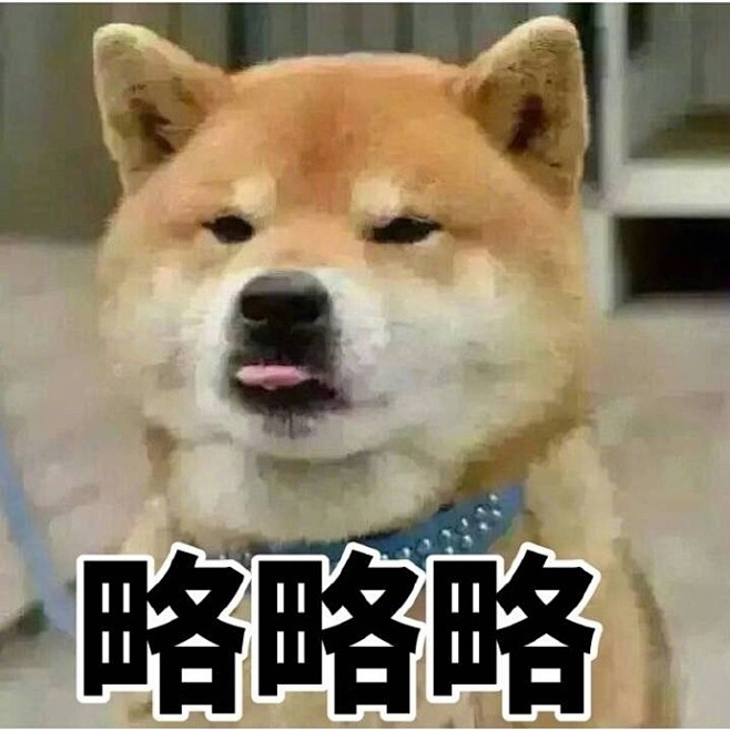 略略略表情包,萌宠吐舌头表情包,搞笑表情...