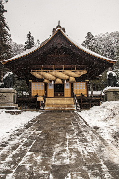 左宁_采集到夜深知雪重，时闻折竹声