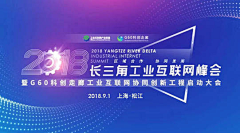 厦门是只猫采集到30周年