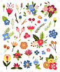 绘画插图,花朵,多色的,花束,矢量,植物学,植物群,白色背景,可爱的,玫瑰